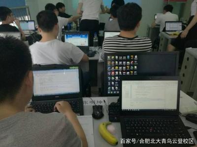 汽車維修與計算機軟件開發 哪個職業前景更廣闊？